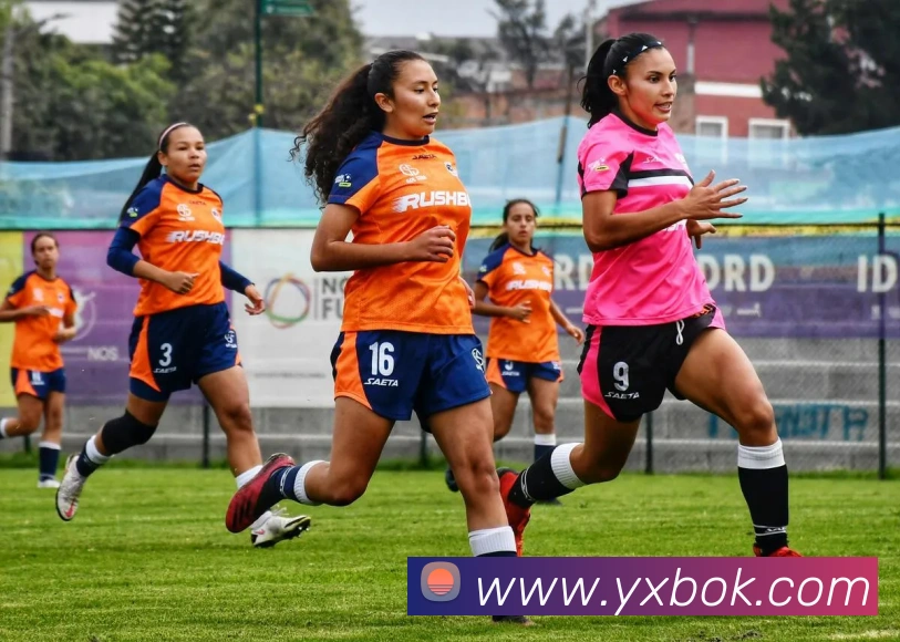体育App